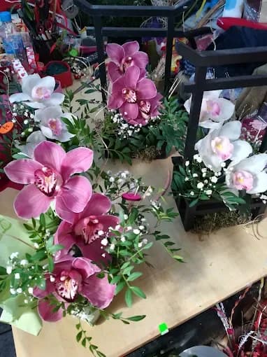Blumenladen in Ovcha Kupel 2