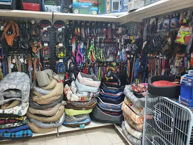 Tienda de Mascotas "Zoover" - Productos y Servicios para su Mascota (2/2)