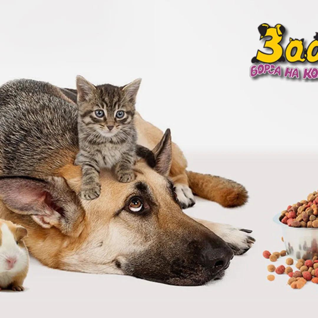 "ZOO GROUP BG" - Pet Food