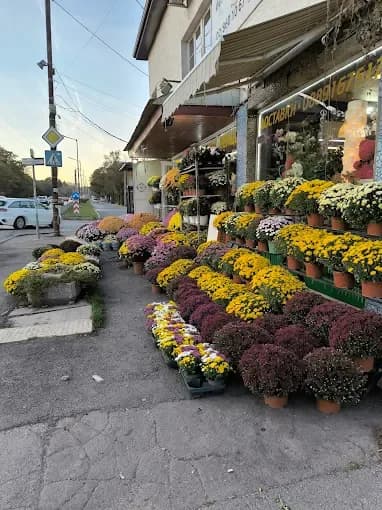 "VANDA FLOWERS" - Floristería con hermosos ramos (2/2)