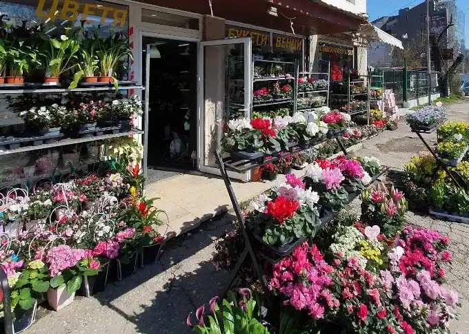 Florăria "Dessiflorist" - Buchete și aranjamente florale (2/2)