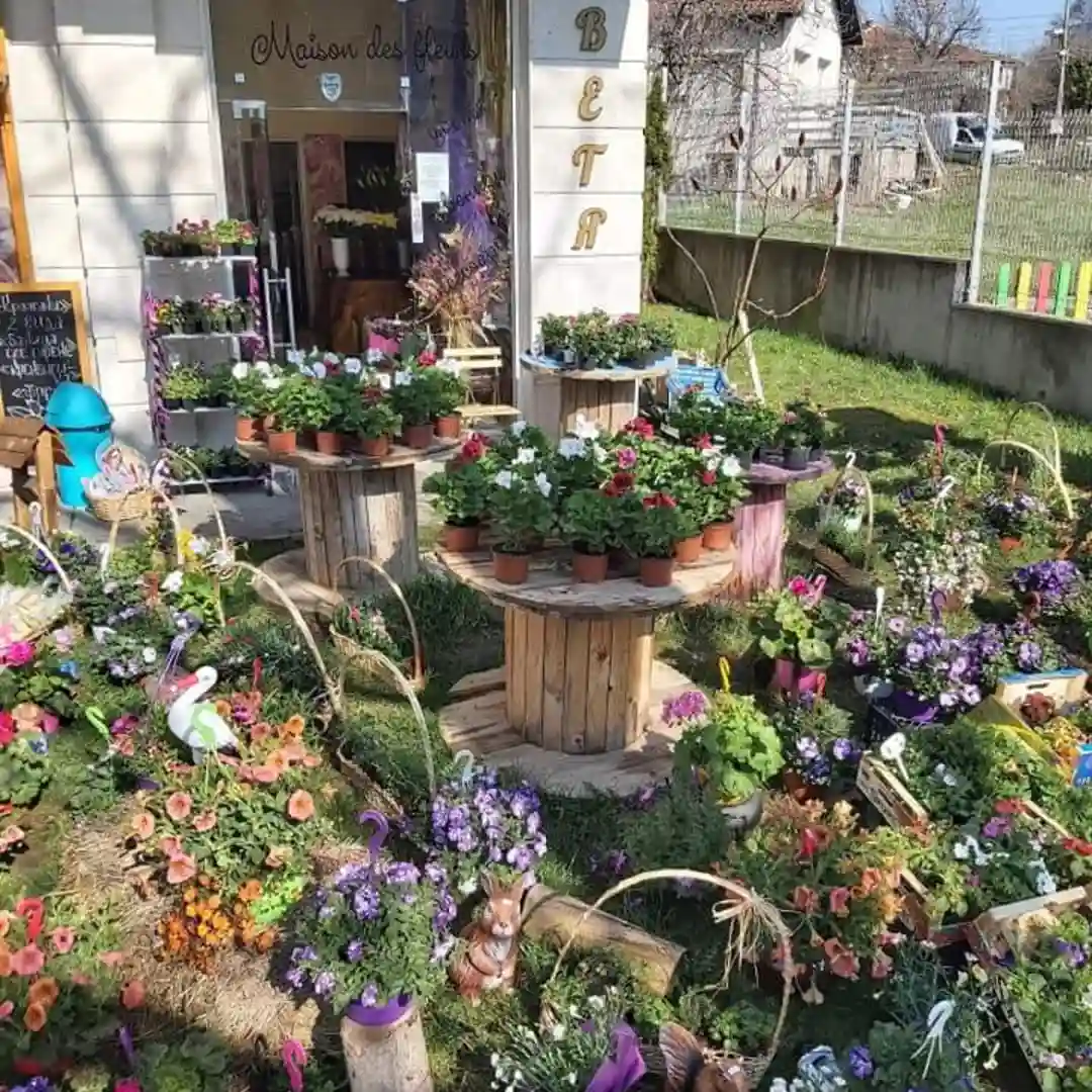 Blumenladen "Das Haus der Blumen" - Sträuße und Arrangements