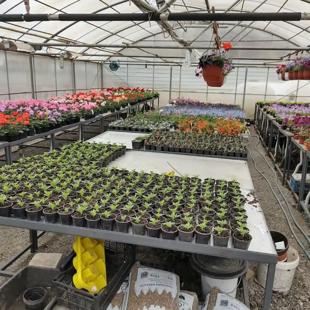 Gärtnerei des Botanischen Universitätsgartens