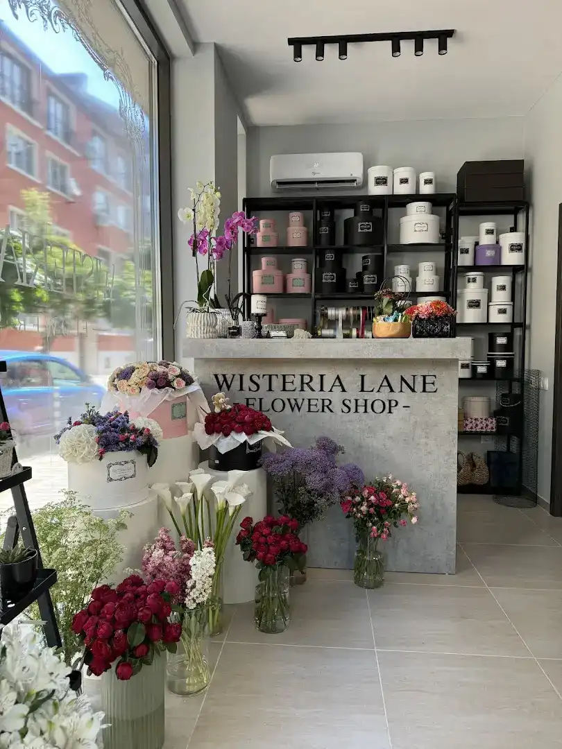 "Wisteria Lane" - Ramos Boutique y Flores (4/4)