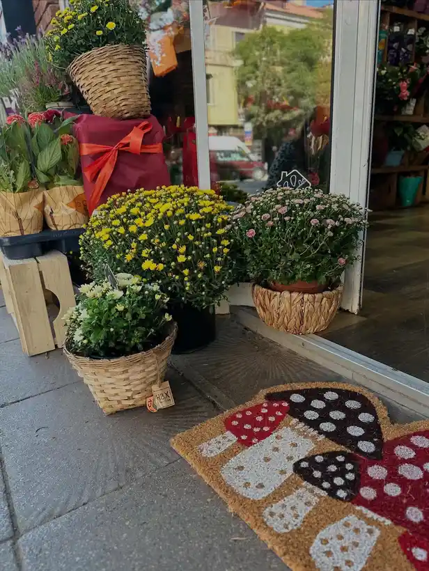 Negozio di Fiori "Green Room" - Siamo qui per rendere speciale la tua giornata (2/3)