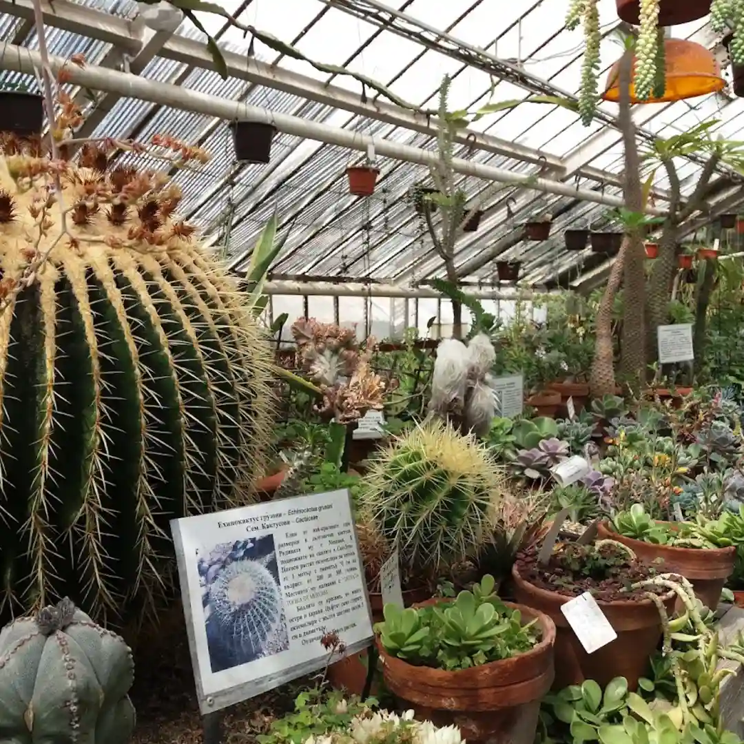 Grădina Botanică a Academiei Bulgare de Științe