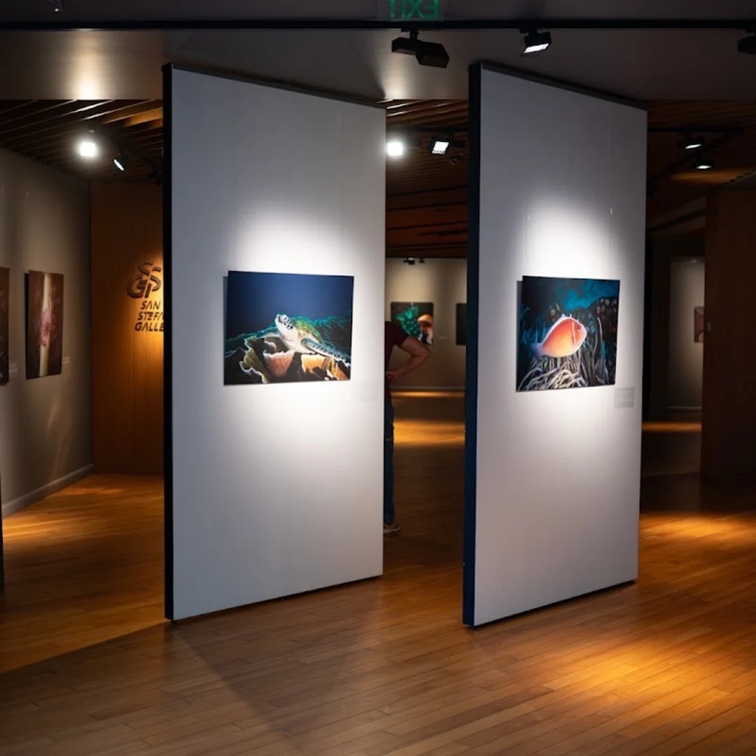 Galeria „San Stefano“ – Przestrzeń Kulturalna w Sofii