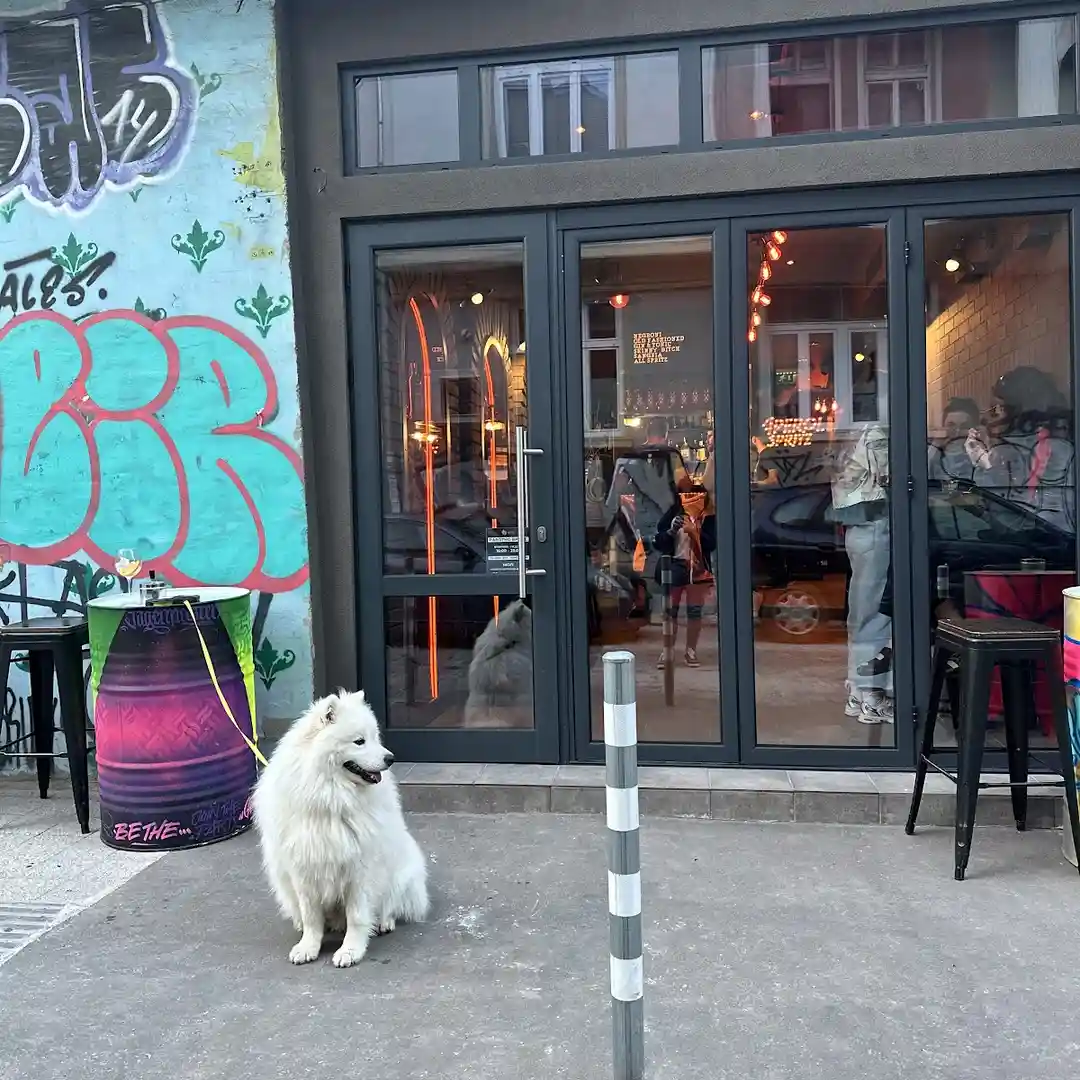 Spritz Bar Sofia коктейл бар в София