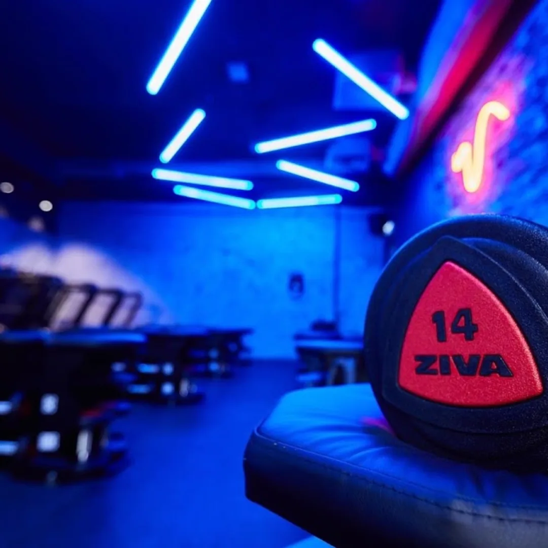 Vibes Health & Fitness im Stadtteil Lozenets, Sofia