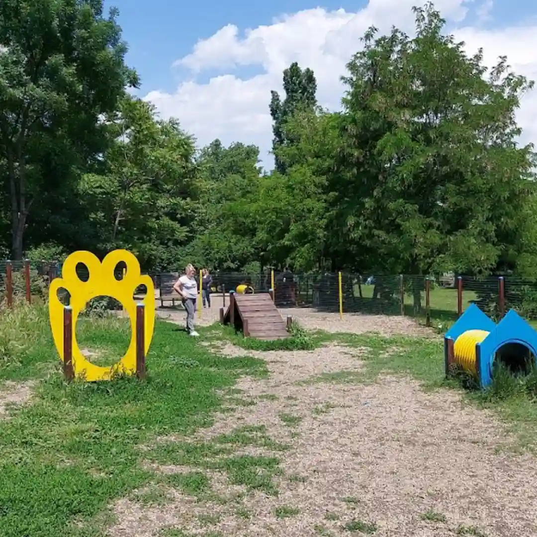 Dog Playground – Loc de joacă pentru câini în Grădina Prințului