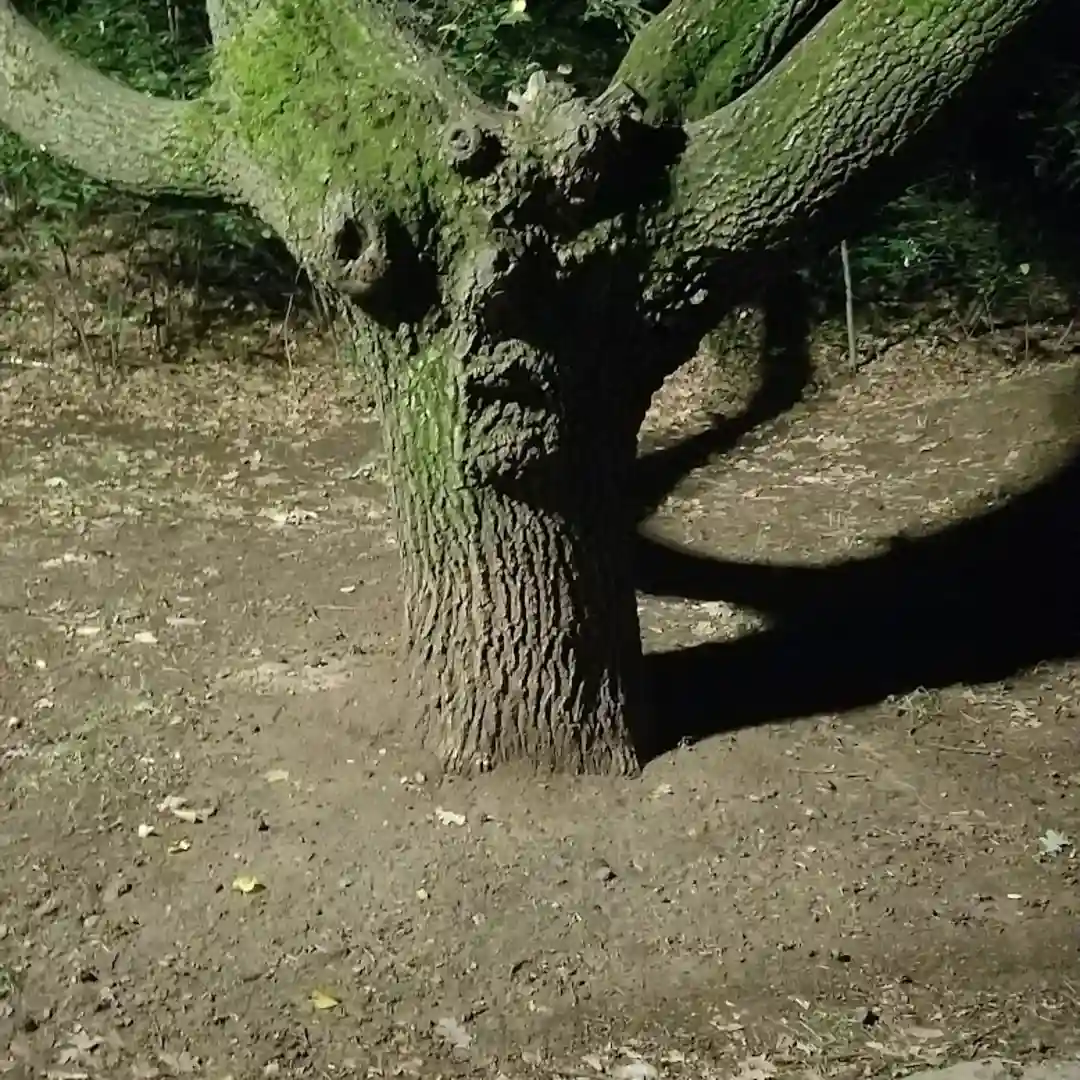 Der Südpark-Eingang – Eingang zum Südpark Sofia