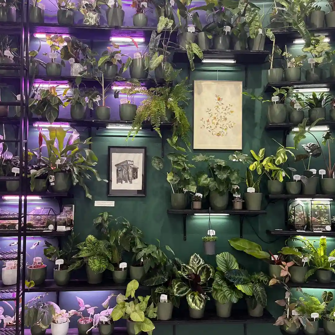 Green Gallery – Artă Contemporană în Sofia