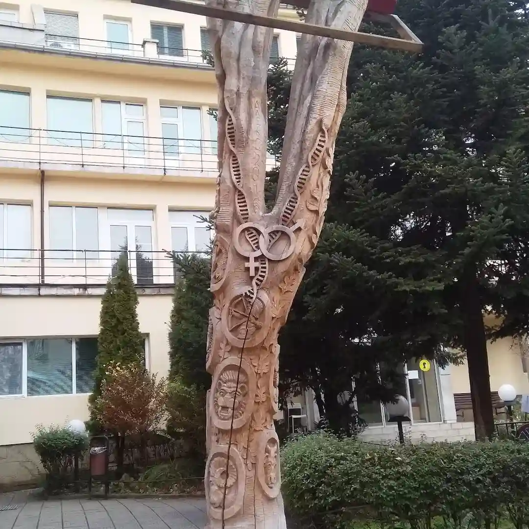 II SAGBAL Sheinovo Sofia