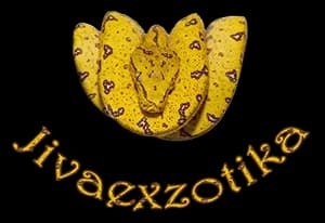 Jiva Exzotika Zoohandlung in Strelbishte