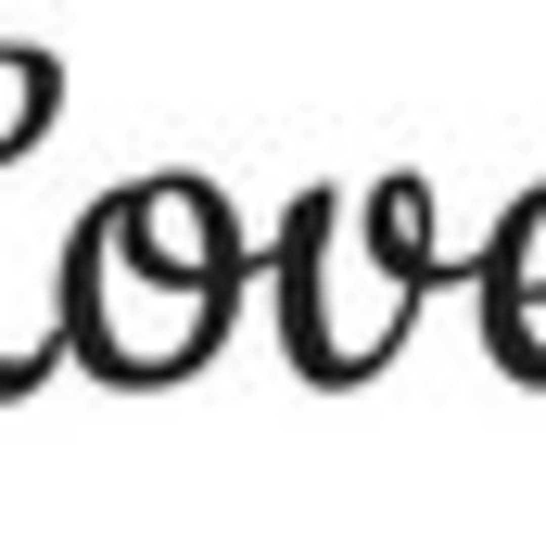 Hundebäckerei & Boutique Live Love Bark Sofia (2/8)
