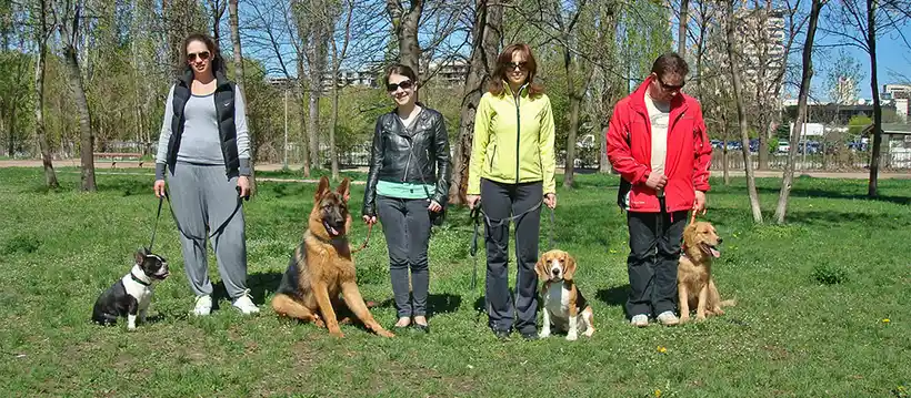 Animalerie Eton Sofia Centre, rue Alabin 23 (4/6)