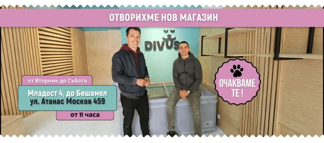 Divus Foods în cartierul Lozenez, Sofia (6/7)