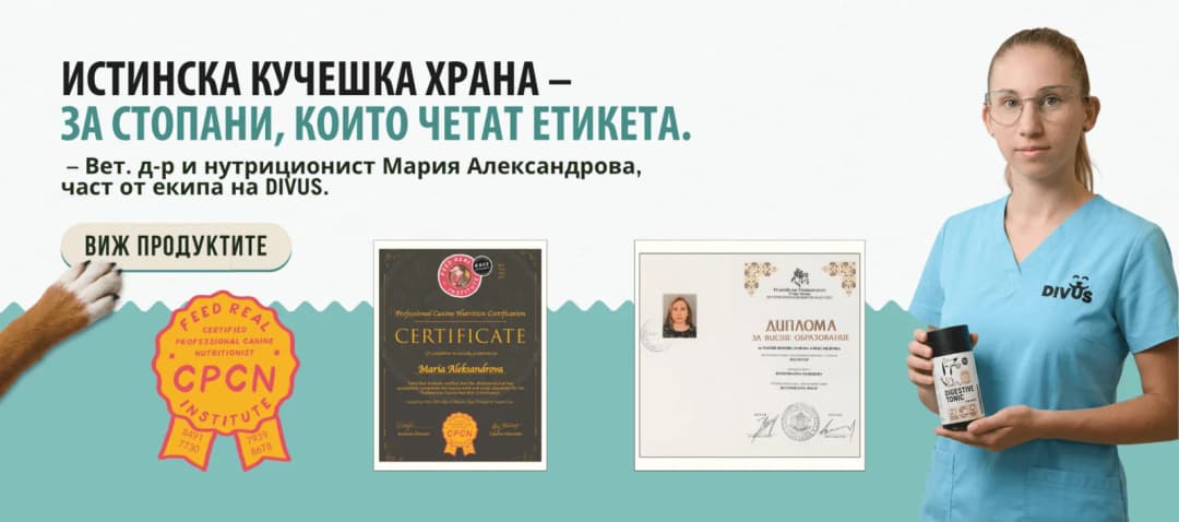 Divus Foods în cartierul Lozenez, Sofia (7/7)