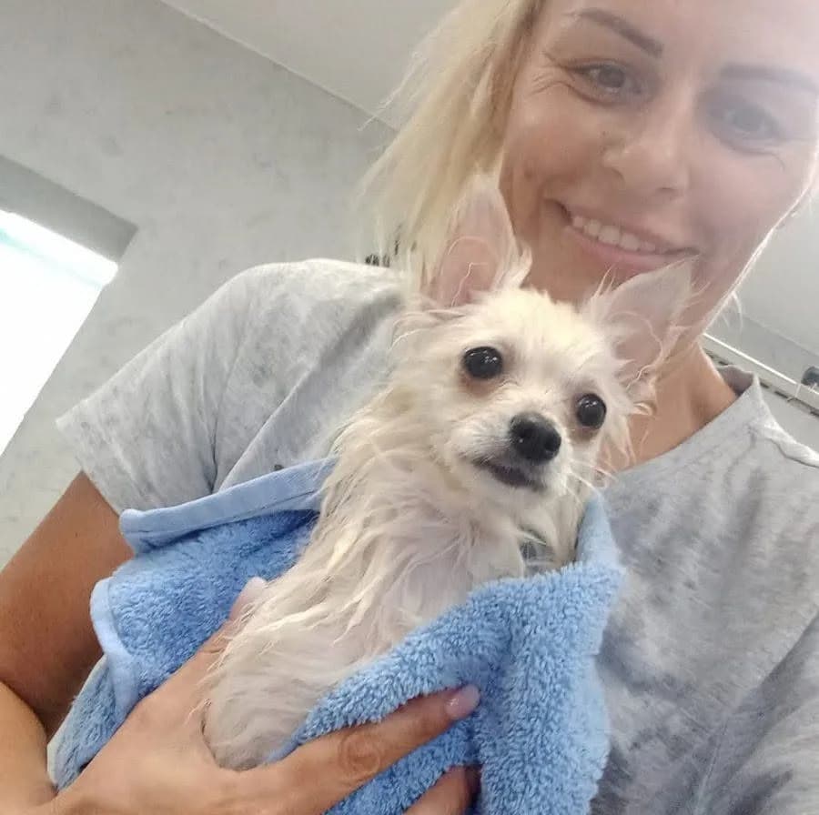Clean Dog Grooming Studio in Sofia Zentrum