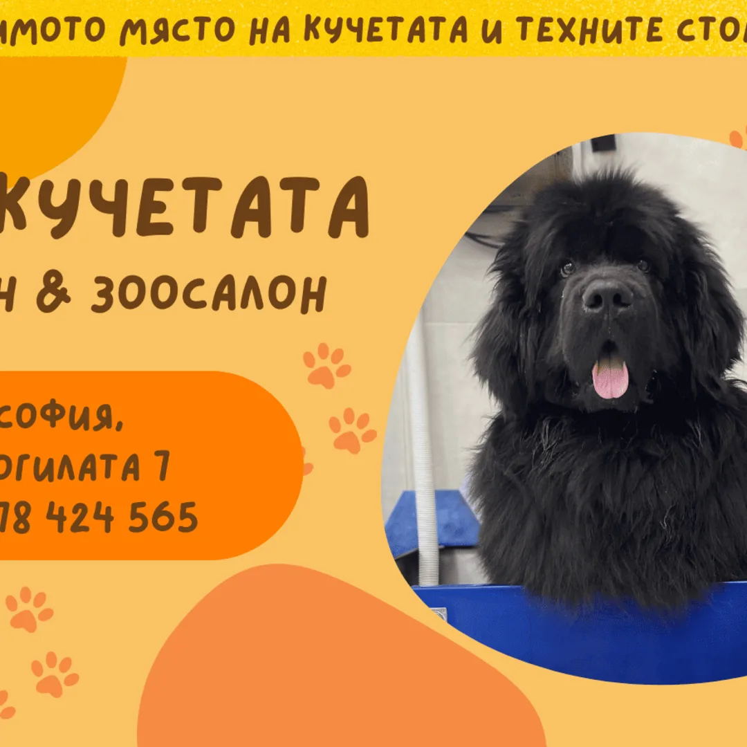 Wir, die Hunde in Sofia