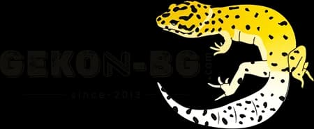 Gekon-bg.com pentru animale exotice în Sofia