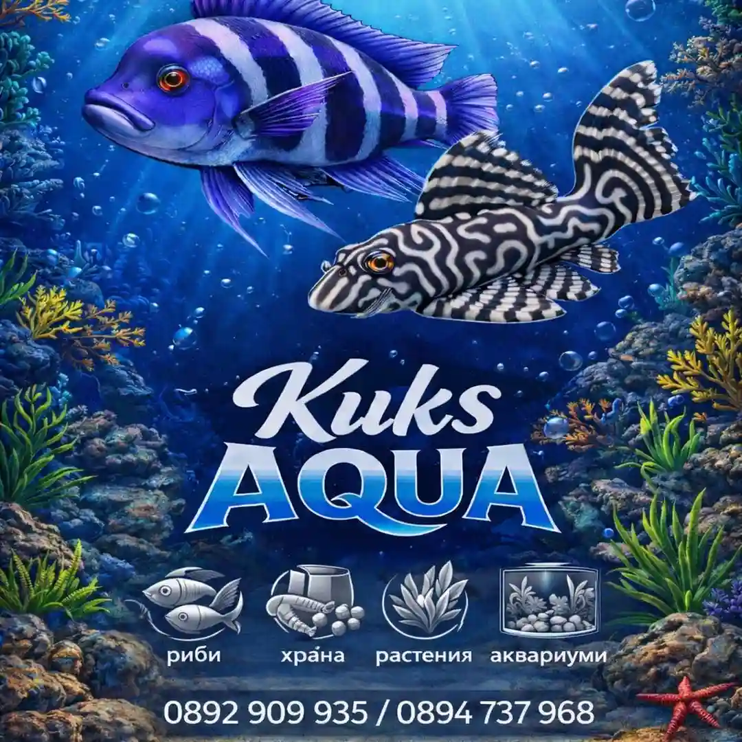 Kuks Aqua Sofia Center