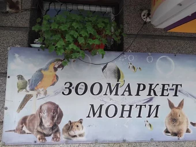Zoo Market "Monti"