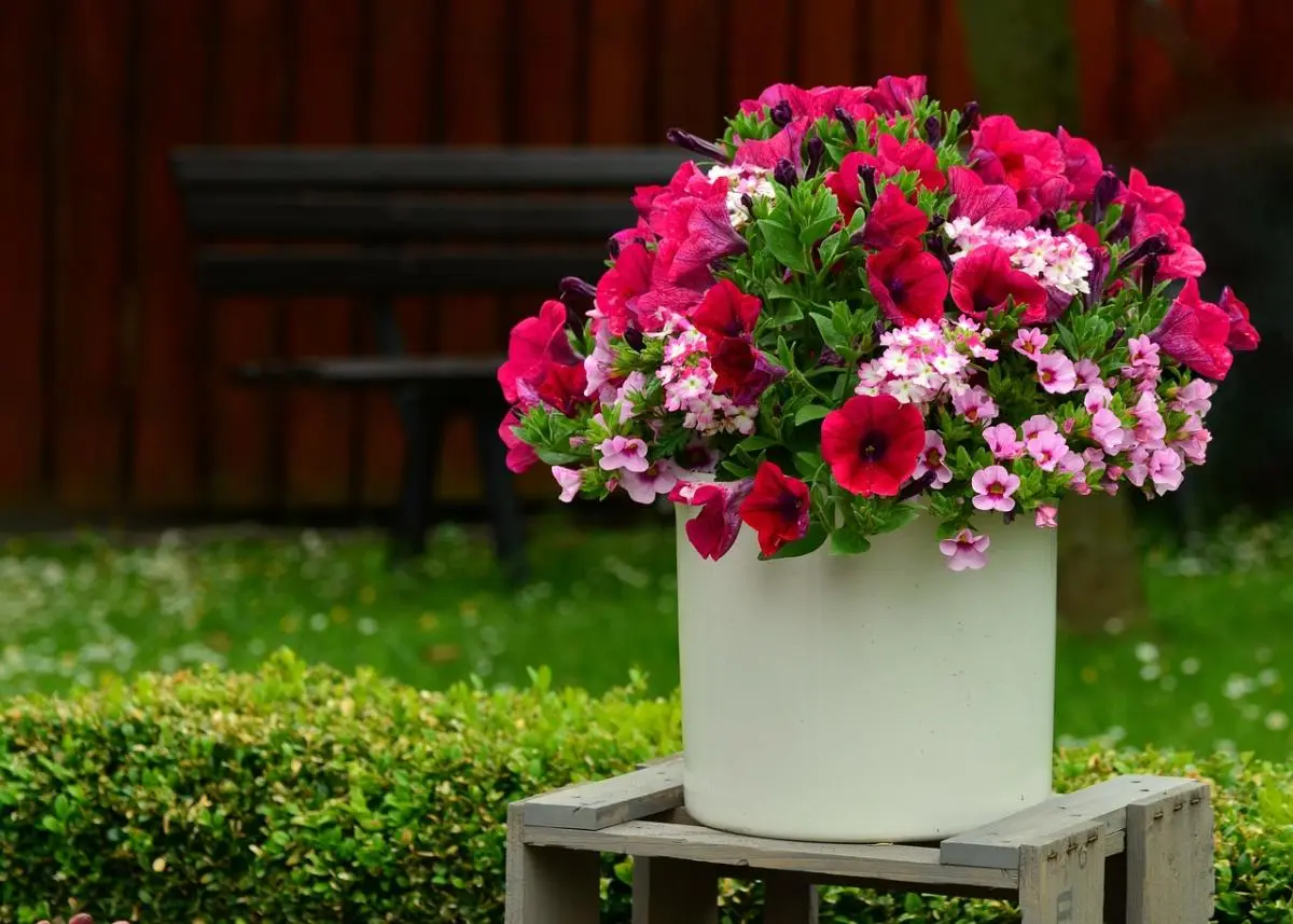 Blumenladen "Iven"
