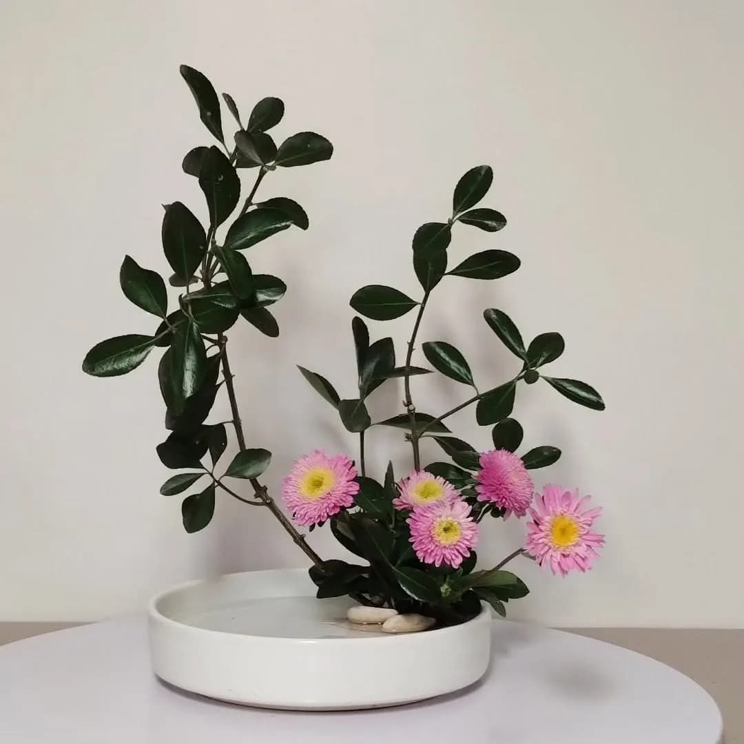 "Miracle Ikebana" – Flores y Arte en Sofía