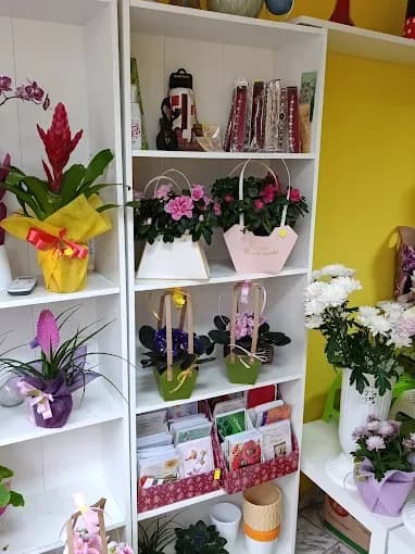 Blumenladen im Stadtteil Ivan Vazov