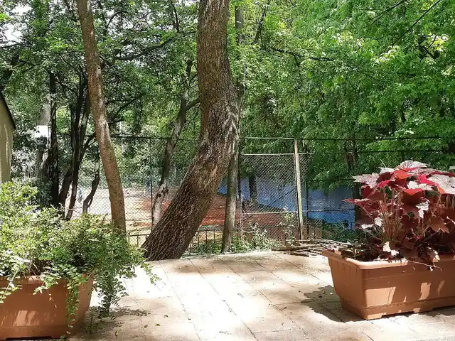 Der Wald im 9. Stock in Sofia