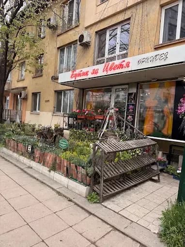 Boutique di fiori "Orchidea"