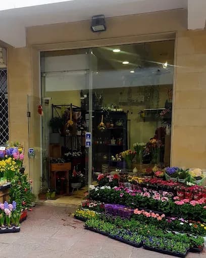 Ανθοπωλείο "Pasiflori"