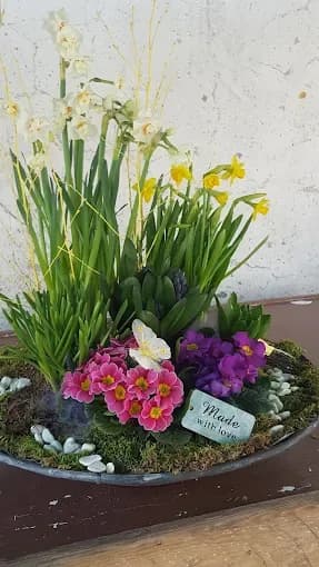 Blumenladen "Pasiflori" (2/2)