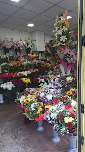 Blumenladen "Laura Designs" (2/2)
