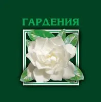 Gardenia Florist Geo Milev Sofia