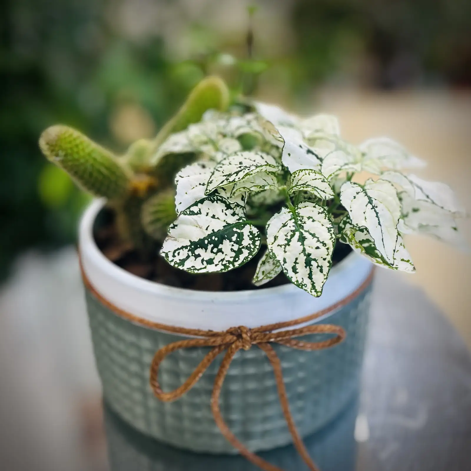 Beauté - Автомат по продаже цветов (6/6)