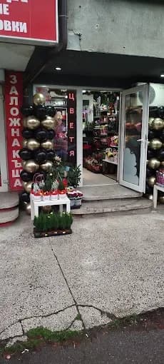 Negozio di fiori nel quartiere Geo Milev