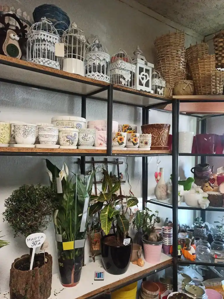 Centrum Ogrodnicze Rimo w Sofii