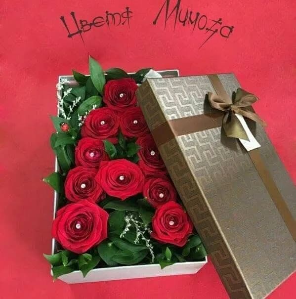 Mimosa Flower Shop Sofía | Floristería para flores y ramos hermosos