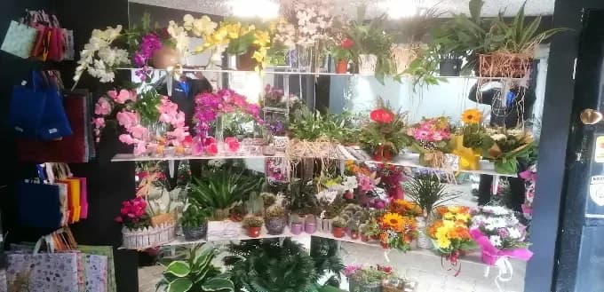 Negozio di fiori "PASTR TSWIAT"