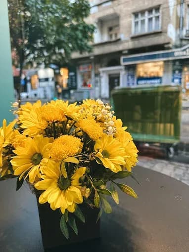 Florăria "Fiori di Chri" (2/2)