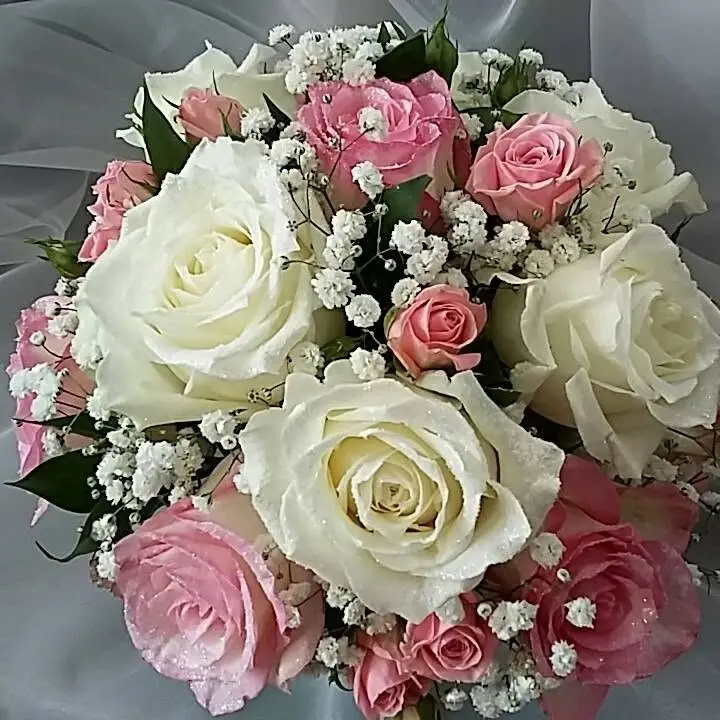 Flora Fiorista a Hadzhi Dimitar Sofia