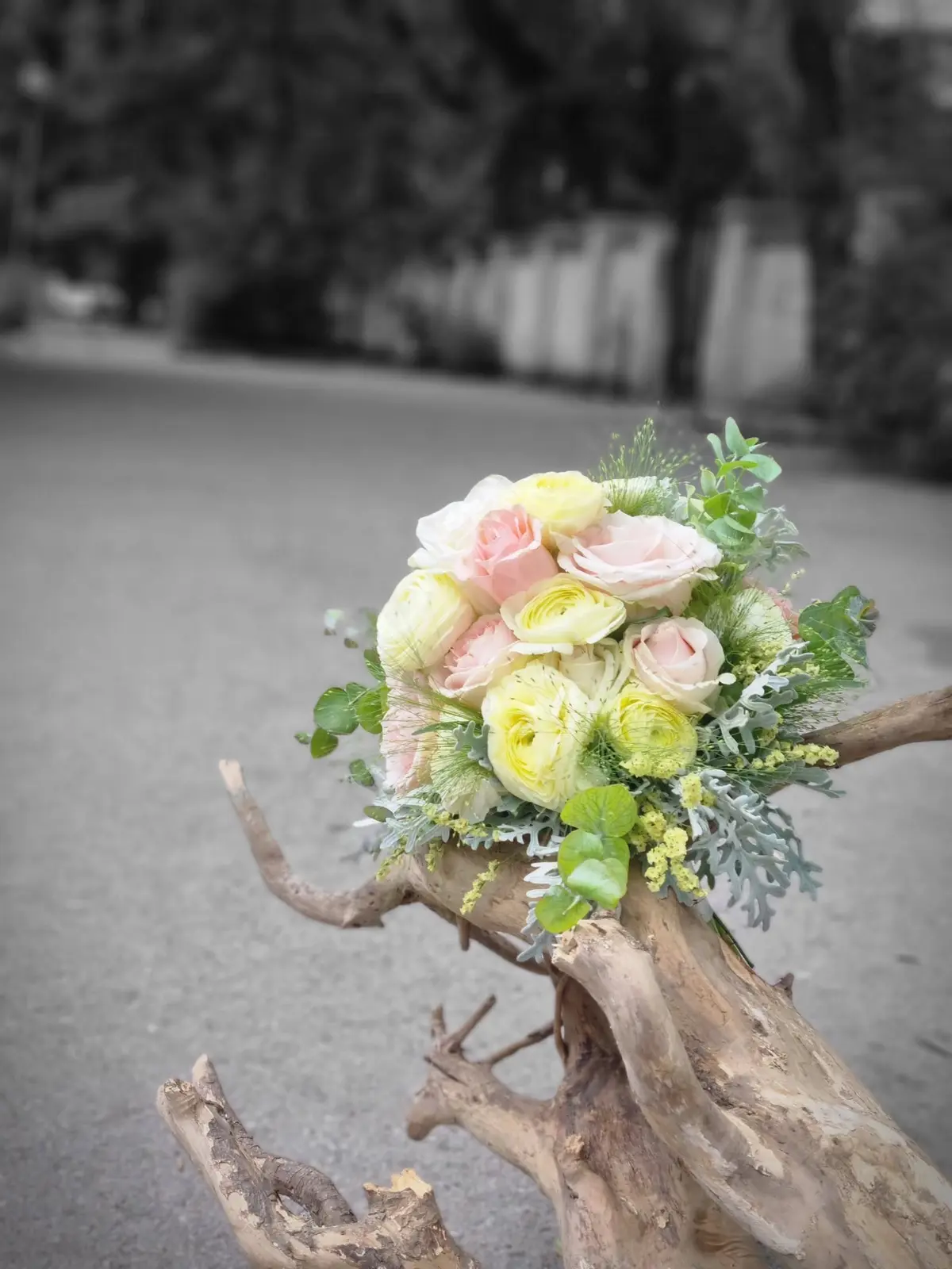 Negozio di Fiori "Elia-Preya"