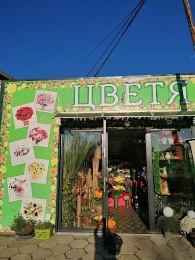Floristería en el barrio Nadejda 3