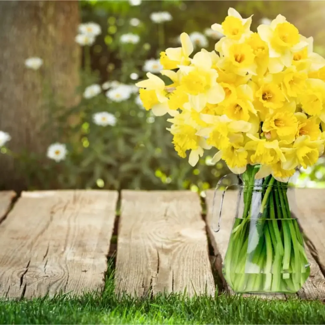 Blumenboutique Mixflor in Sofia