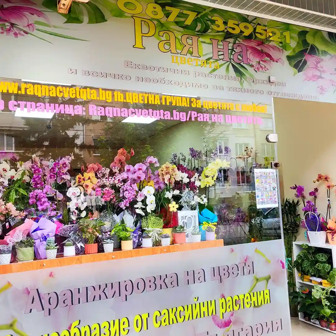 Raya der Blumen im Stadtteil Svoboda, Sofia