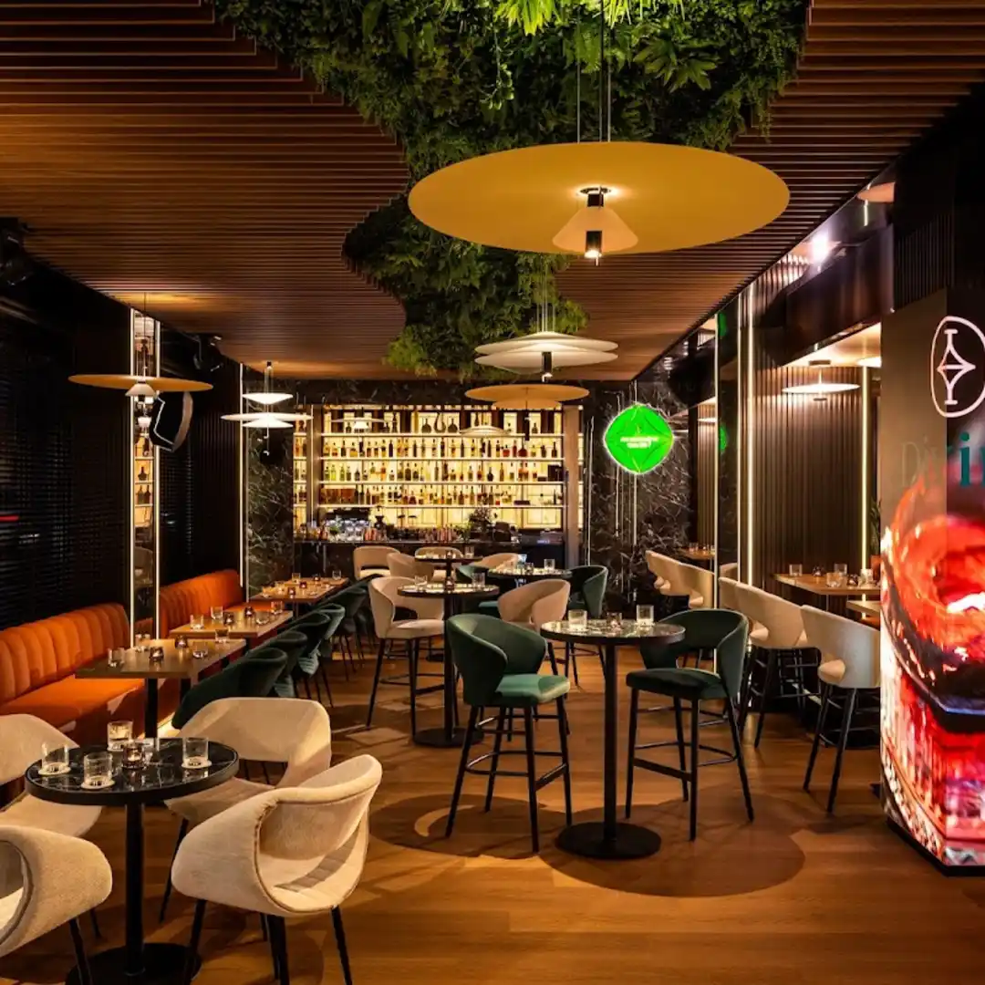Bar "Divine" - Where one night can change everything